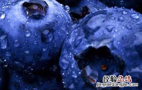 蓝莓每天吃多少合适 蓝莓每天吃多少合适 吃多了小心副作用