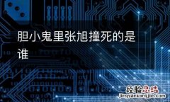 胆小鬼里张旭撞死的是谁