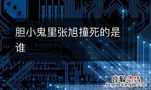 胆小鬼里张旭撞死的是谁