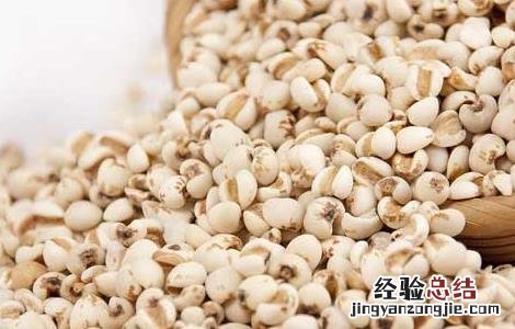 薏米祛斑的吃法 怎样吃薏米可以祛斑