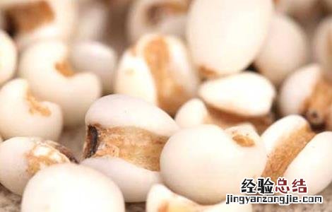 薏米祛斑的吃法 怎样吃薏米可以祛斑