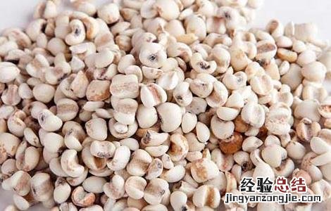 薏米怎么吃才祛湿减肥呢 薏米怎么吃才祛湿减肥
