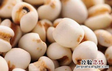 薏米怎么吃才祛湿减肥呢 薏米怎么吃才祛湿减肥