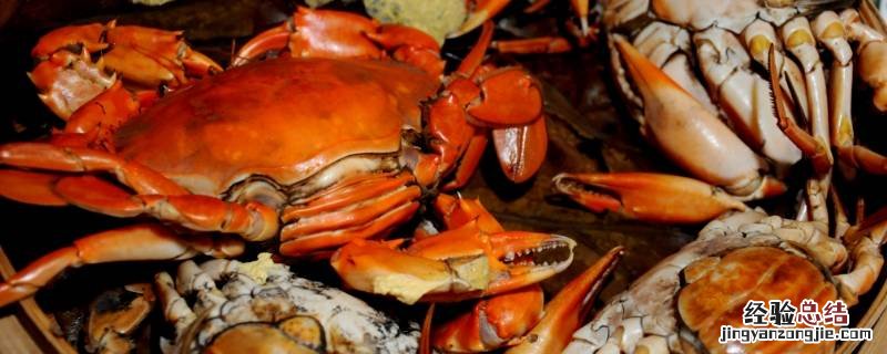 黄油蟹吃法 怎么吃黄油蟹