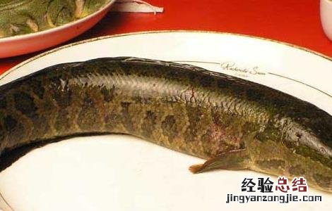 黑鱼吃了补肾吗 吃黑鱼真的能补肾吗