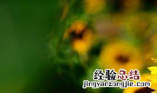 发朋友圈的高档句子 发朋友圈句子有什么