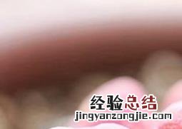 毛汉尼蜕皮如何断水 毛汉尼蜕皮如何断水