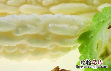 苦瓜的减肥功效及食谱大全 苦瓜的减肥功效及食谱