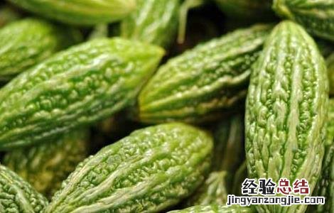 苦瓜怎么吃减肥效果好还不苦 苦瓜怎么吃减肥效果好
