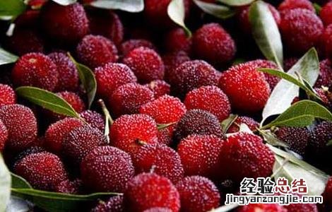 杨梅用什么酒泡好喝 杨梅用什么酒泡好