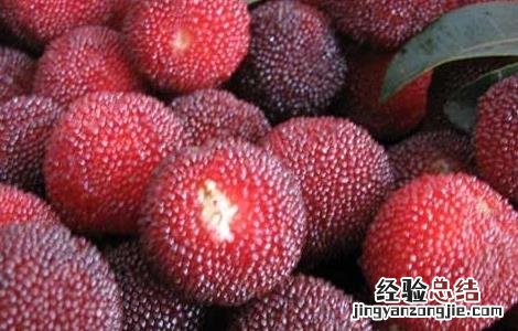 杨梅吃多了会不会不好 杨梅吃多了会怎么样