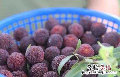 杨梅吃多了会不会不好 杨梅吃多了会怎么样