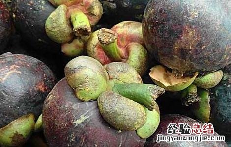 山竹一天最多吃几个怎么保鲜 山竹一天最多吃几个