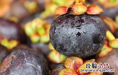 山竹一天最多吃几个怎么保鲜 山竹一天最多吃几个