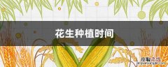 花生种植时间和收割时间 花生种植时间