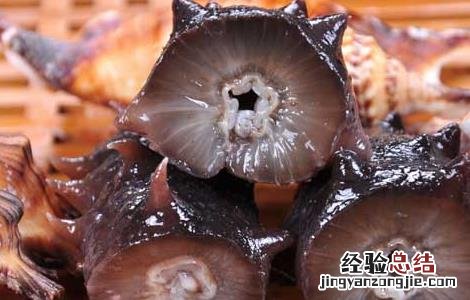 手术后能吃海参吗 手术后能吃海参吗海参影响伤口愈合