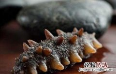 女人常吃海参 女人吃海参好吗