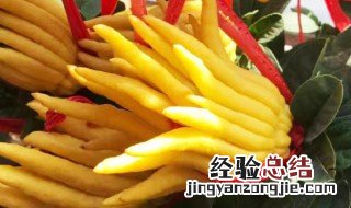 佛手果怎么吃才好吃呢 佛手果怎么吃才好吃