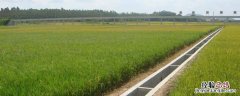 农作物和果树的施肥方法有哪些 果树施肥技术的总体原则