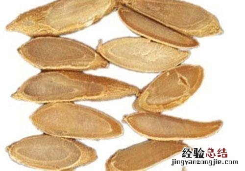 郁金的营养价值