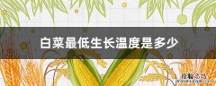 白菜最低生长温度是多少度 白菜最低生长温度是多少