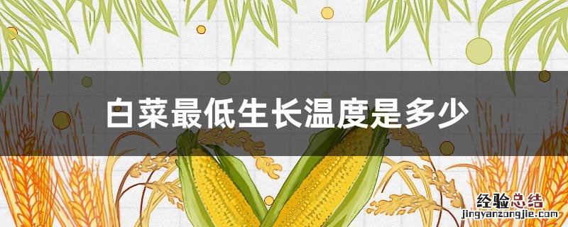 白菜最低生长温度是多少度 白菜最低生长温度是多少