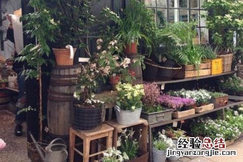 开花店怎么样能赚钱吗 开花店怎么样，能赚钱吗