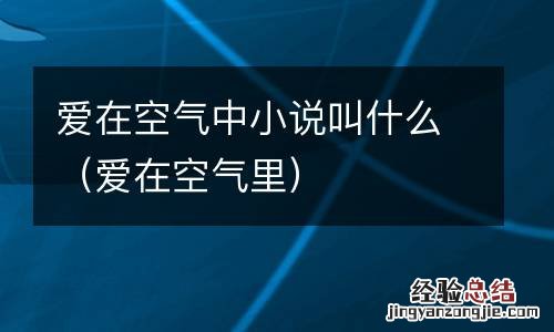 爱在空气里 爱在空气中小说叫什么