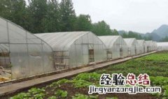 冷棚晚上怎么保温 冷棚冬天怎么保温