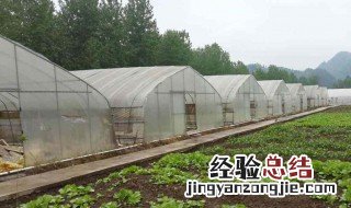 冷棚晚上怎么保温 冷棚冬天怎么保温