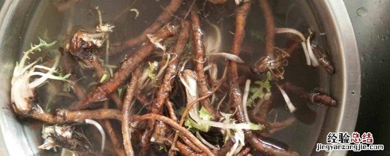 农作物根瘤病怎么治 植物根瘤病怎么防治