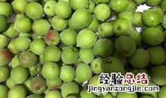 糖腌青杏的做法步骤 糖腌青杏怎么做