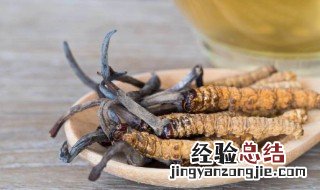 冬虫夏草泡水喝的功效 冬虫夏草泡水喝的功效有哪些