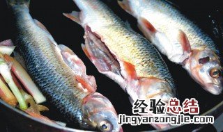 红烧华子鱼的做法 红烧鱼籽的做法大全
