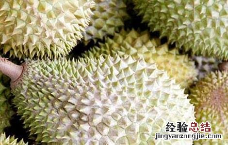 榴莲什么时候吃最好季节 榴莲什么时候吃最好