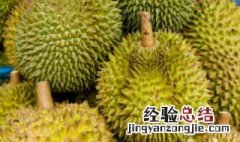 榴莲多久结一次果 榴莲一般几年可以结果