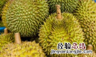 榴莲多久结一次果 榴莲一般几年可以结果