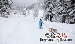 飞冰雪花是什么意思 飞冰雪花的解释