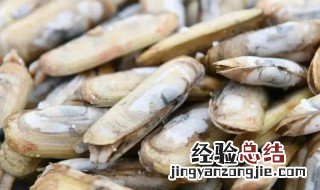 蛏子里面什么不能吃 什么样的蛏子不能吃