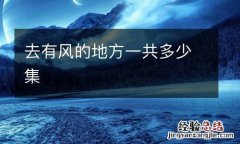 去有风的地方一共多少集