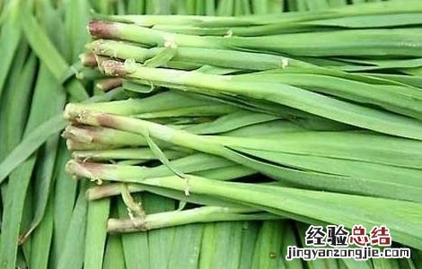 韭菜吃多了会怎么样 男生韭菜吃多了会怎么样