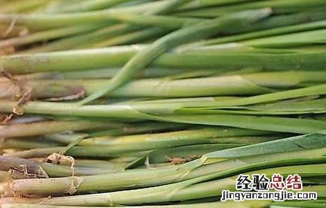 韭菜吃多了会怎么样 男生韭菜吃多了会怎么样