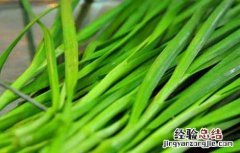 韭菜吃多了会怎么样 男生韭菜吃多了会怎么样