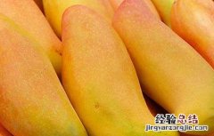 吃芒果可以减肥吗 吃芒果减肥吗,有哪些好