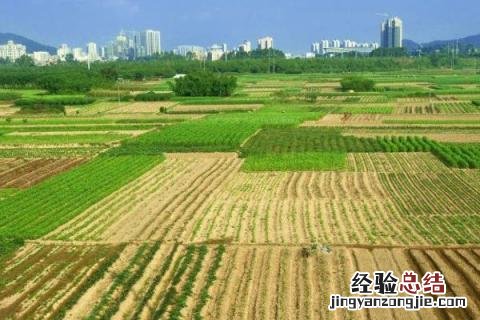4个农村不需要太大投入可以做的项目 4个农村不需要太大投入可以做的项目是什么