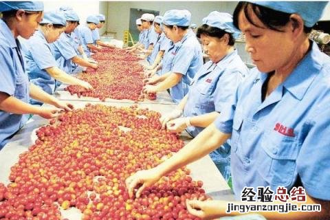 4个农村不需要太大投入可以做的项目 4个农村不需要太大投入可以做的项目是什么