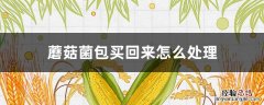 蘑菇菌包买回来怎么处理 买的菌包一直不出蘑菇