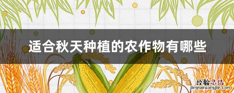 适合秋天种植的农作物有哪些 适合秋天种植的农作物有哪些名称