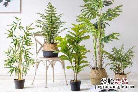农贸市场适合做什么生意好 农贸市场做什么生意好，有哪些