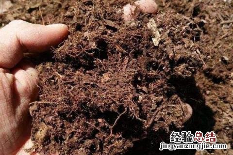 农贸市场适合做什么生意好 农贸市场做什么生意好，有哪些